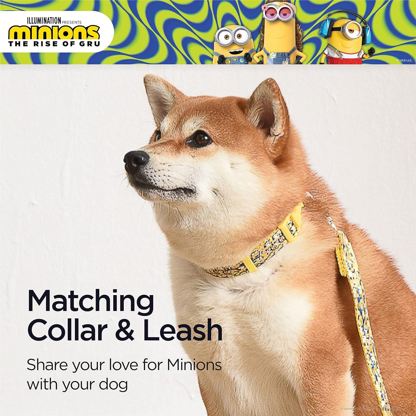 Dog Collar, Medium, Yellow, More than a Minion| Gifts for  Fans and Their Pets | Officially Licensed Pet Product from Universal Studios