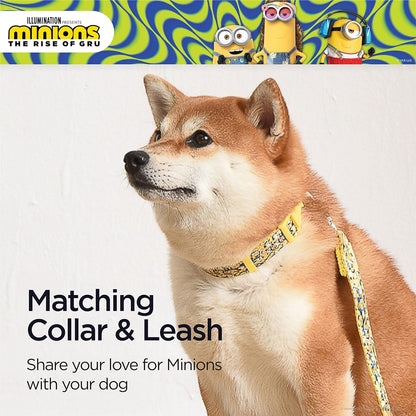 Dog Collar, Medium, Yellow, More than a Minion| Gifts for  Fans and Their Pets | Officially Licensed Pet Product from Universal Studios